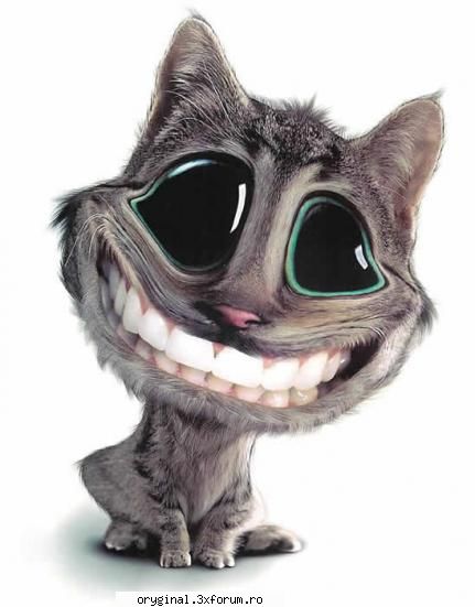 poze haioase - shadowcat - poze